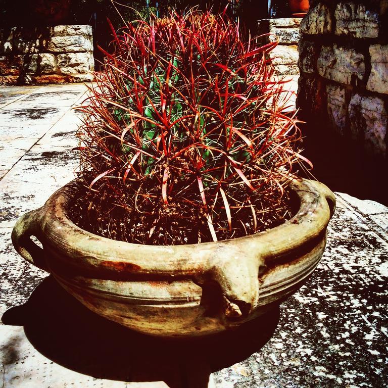 Poggio Di Mare Bed & Breakfast *